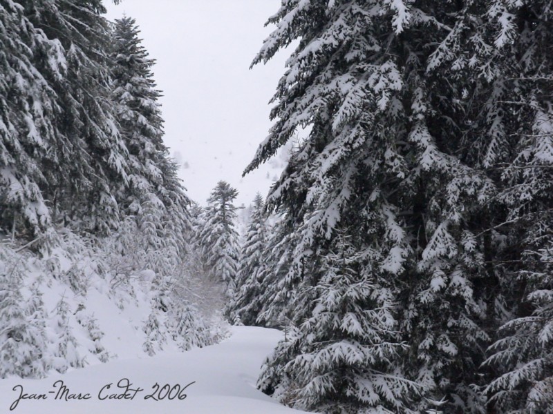 Aux abords du Col de Grail (Ariège)
