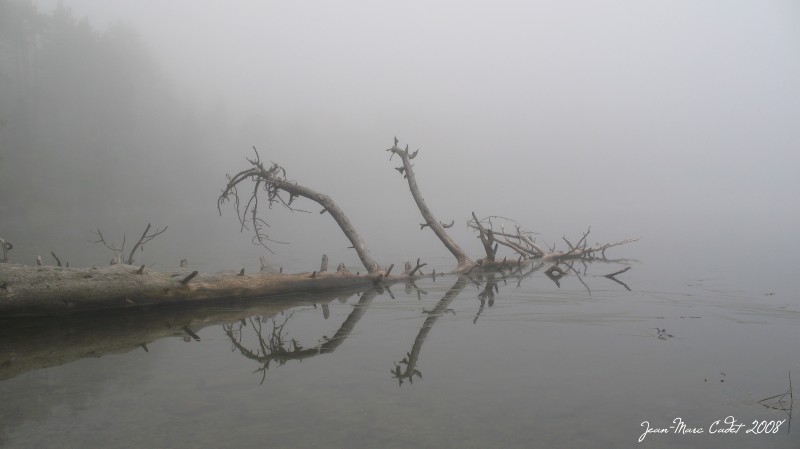 Ambiance glauque au bord du Lac de Querigut (Ariège)