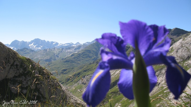 Au loin Gavarnie ... (Hautes Pyrénées)