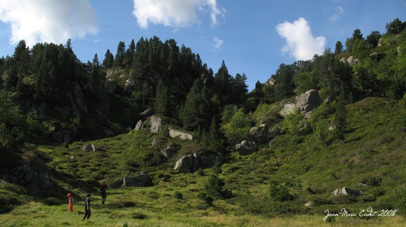 A la recherche des Myrtilles (Ariège)